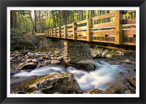 Framed Bridge and Cascade II Print