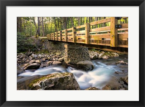 Framed Bridge and Cascade II Print