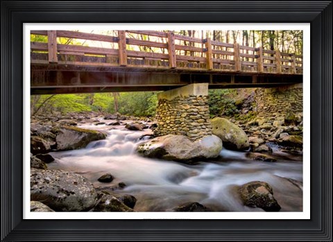 Framed Bridge and Cascade III Print