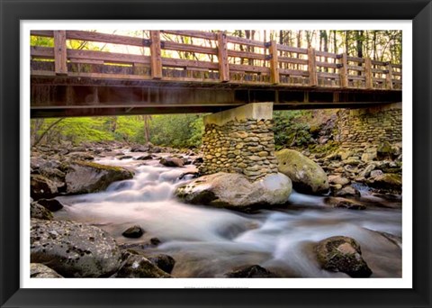 Framed Bridge and Cascade III Print