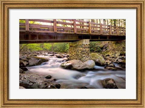 Framed Bridge and Cascade III Print
