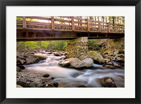 Framed Bridge and Cascade III Print