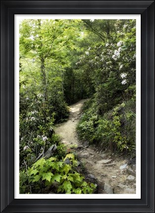 Framed Mountain Trail Print