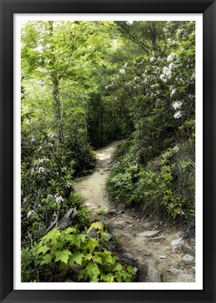 Framed Mountain Trail Print