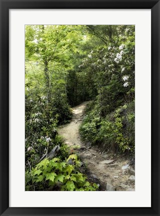 Framed Mountain Trail Print