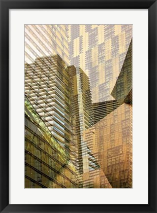 Framed Double Take VI Print