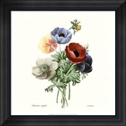 Framed Blushing Bouquet I Print
