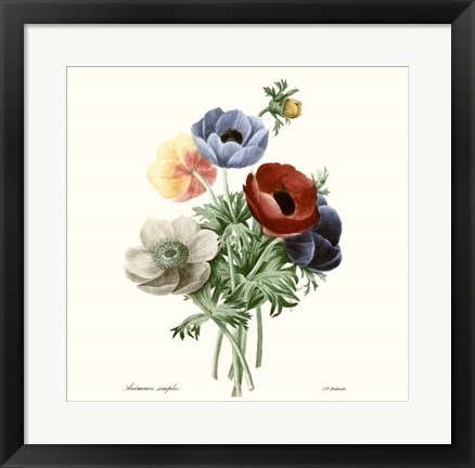 Framed Blushing Bouquet I Print