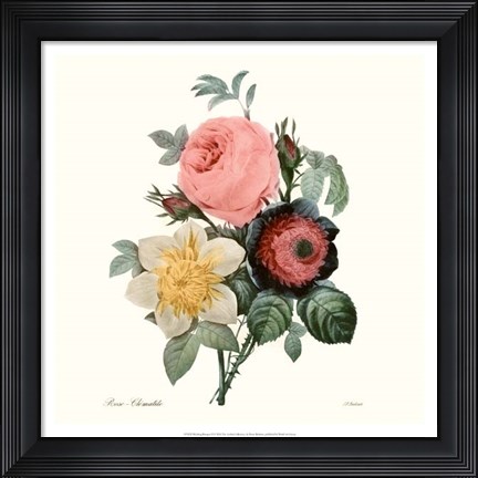 Framed Blushing Bouquet II Print