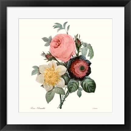 Framed Blushing Bouquet II Print