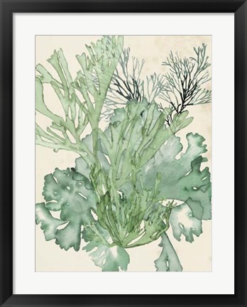 Framed Seaweed Composition II Print