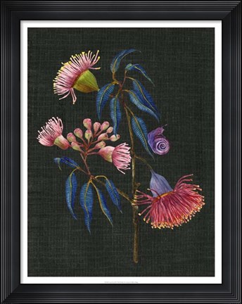 Framed Gum Nuts II Print