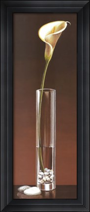 Framed Calla Haiku Print