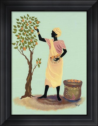 Framed Picking Mangos Print