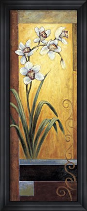 Framed Orchid Print