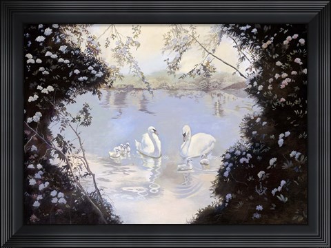 Framed Swan Lake Print