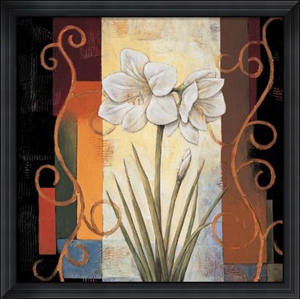 Framed Amaryllis Print