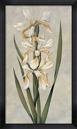 Framed Decorative Irises II Print