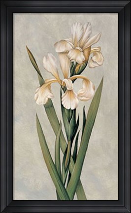 Framed Decorative Irises I Print