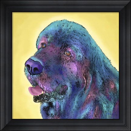 Framed Arthur Print