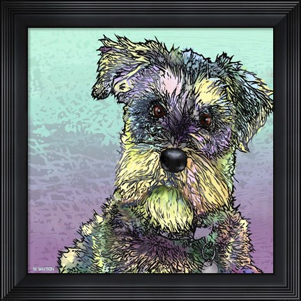 Framed Schnauzer 1 Print