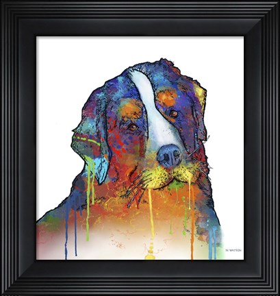 Framed Bernese Mountain Dog Print