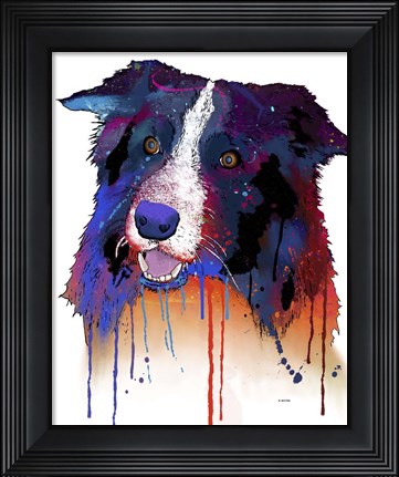 Framed Border Collie 1 Print