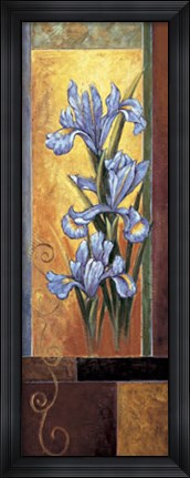 Framed Iris Print