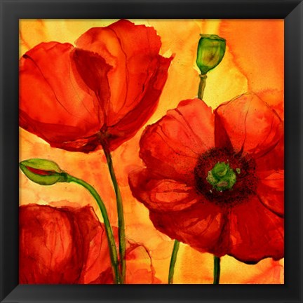 Framed Coquelicots II Print