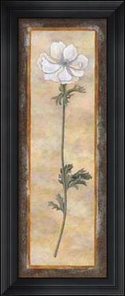 Framed Anemone Print