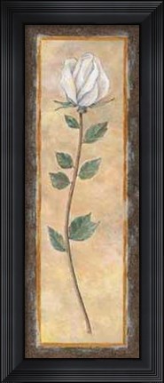 Framed Rose Print