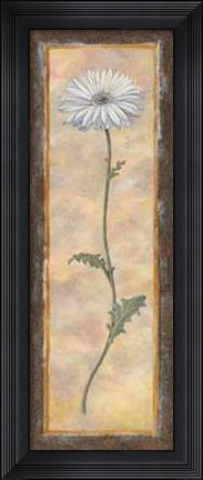 Framed Gerbera Print