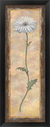 Framed Gerbera Print