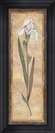 Framed Iris Print