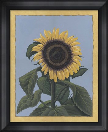Framed Apple Sunflower Print