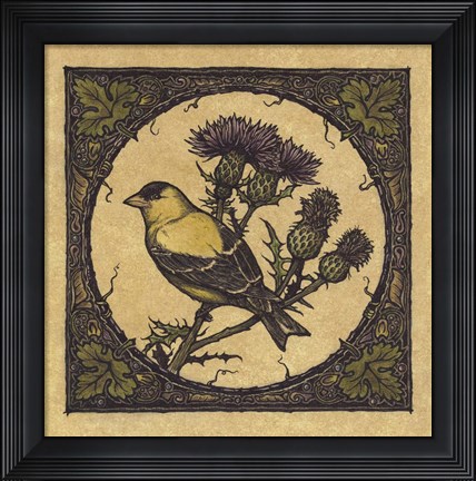 Framed Apple Grossbeak Bird Print