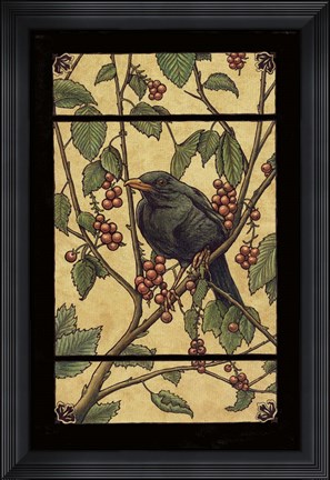 Framed Apple Raven Print