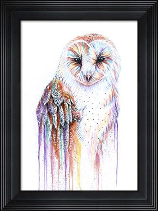 Framed Barred Rainbow Owl Print
