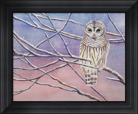 Framed Snowy Barred Owl Print