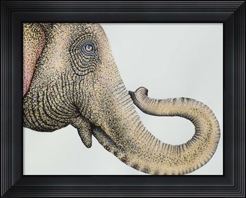 Framed Spotted Asian Elephant 2 Print