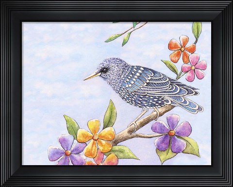 Framed Starling Bird with Flowers Print