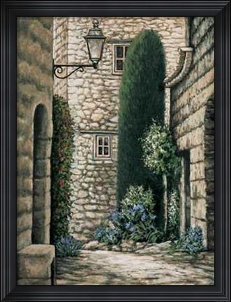 Framed Coin Pictoresque I Print