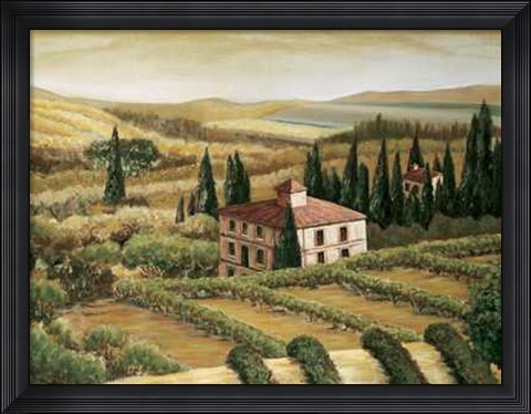 Framed Vintage Sunrise I Print
