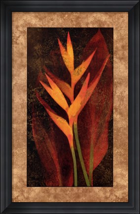 Framed Heliconia Print