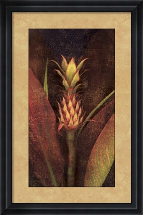 Framed Pineapple Print