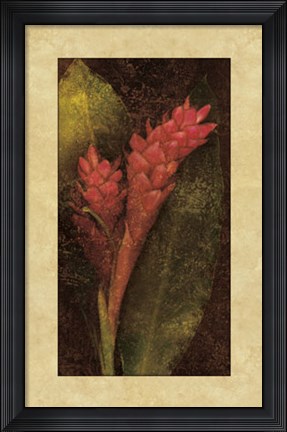 Framed Ginger Print