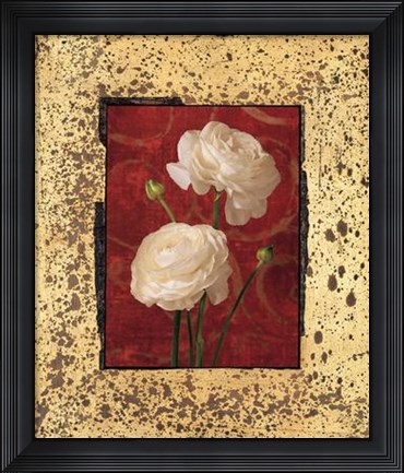 Framed Ranunculus Print