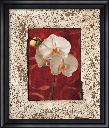 Framed Orchids Print