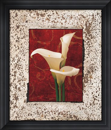 Framed Calla Lilies Print