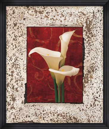 Framed Calla Lilies Print